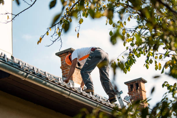 Best Flat Roof Repair Services  in The Village, OK